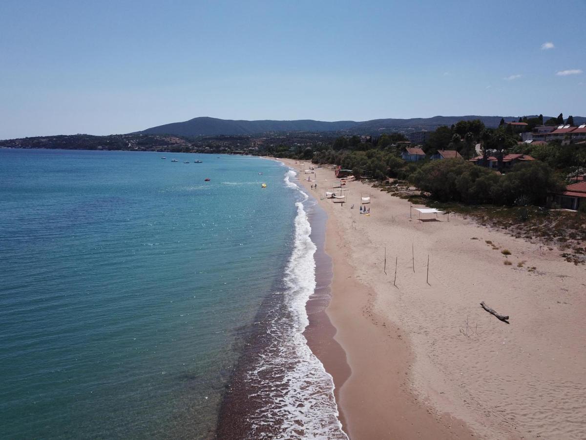 Takis Bizos House 1 Villa Koroni  Bagian luar foto