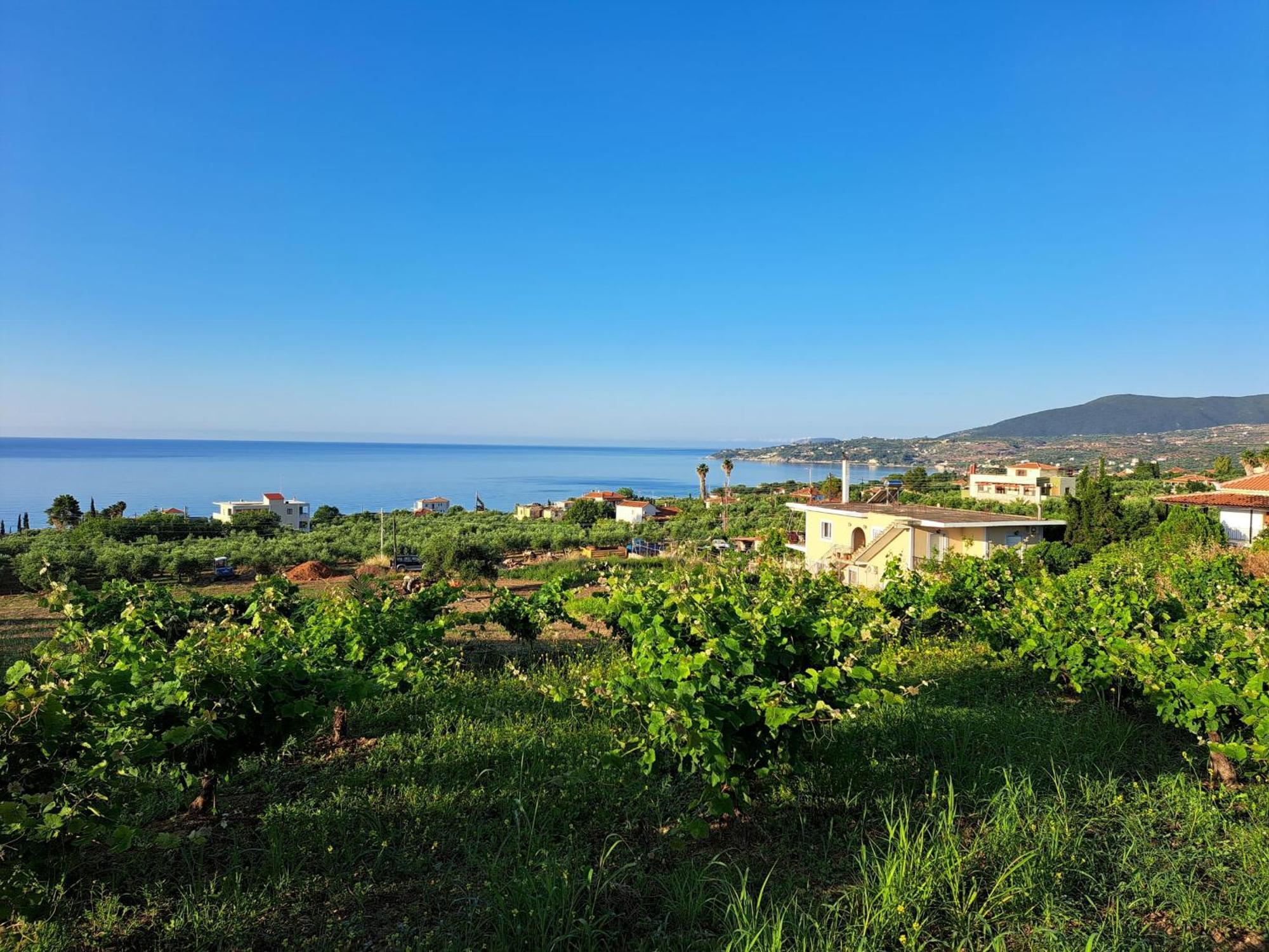 Takis Bizos House 1 Villa Koroni  Bagian luar foto